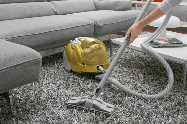 Professional Carpet Cleaning